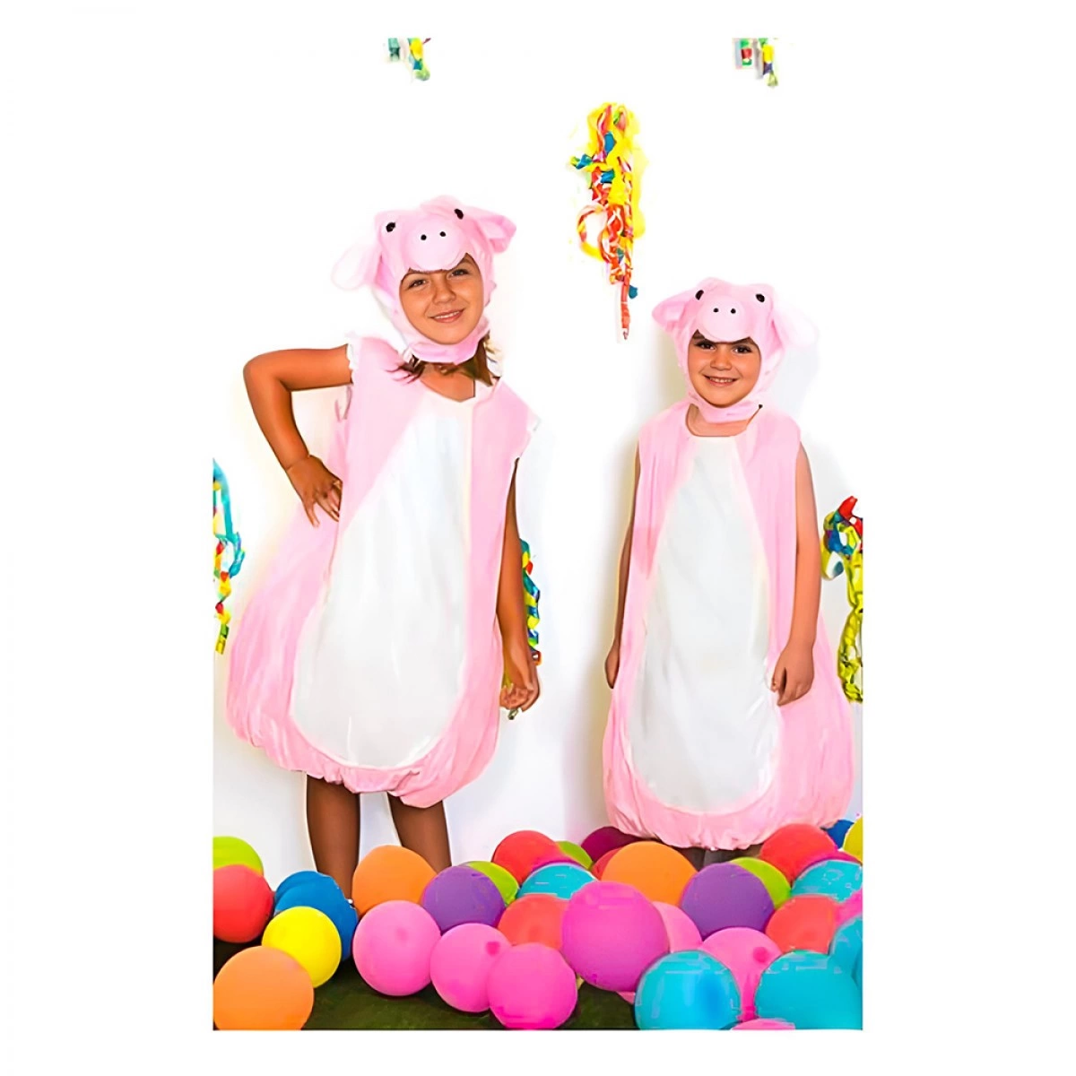 DUE ESSE PIG COSTUME 38033