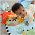 FISHER PRICE FP ΓΥΜΝΑΣΤΗΡΙΟ 3 ΣΕ 1 ΜΕ ΠΕΡΙΣΤΡΕΦΟΜΕΝΟ ΛΟΥΛΟΥΔΙ NO HYR60