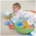 FISHER PRICE FP ΓΥΜΝΑΣΤΗΡΙΟ 3 ΣΕ 1 ΜΕ ΠΕΡΙΣΤΡΕΦΟΜΕΝΟ ΛΟΥΛΟΥΔΙ NO HYR60