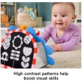 FISHER PRICE PROP 'N GO PORTABLE ΚΑΘΡΕΦΤΑΚΙ ΣΚΑΝΤΖΟΧΟΙΡΑΚΙ JHB45