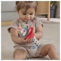 FISHER PRICE FLOWER AND BEE HYR56