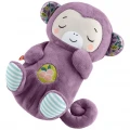 FISHER PRICE ΜΑΪΜΟΥΔΑΚΙ ΑΓΚΑΛΙΑΣ ΜΕ ΚΙΝΗΣΗ ΑΝΑΠΝΟΗΣ & ΜΟΥΣΙΚΗ JLH41