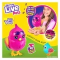 MOOSE LITTLE LIVE PETS ΠΟΥΛΑΚΙ LPB12000