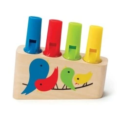 HAPE EARLY EXPLORER ΞΥΛΙΝΟΣ ΑΥΛΟΣ RAINBOW 1025