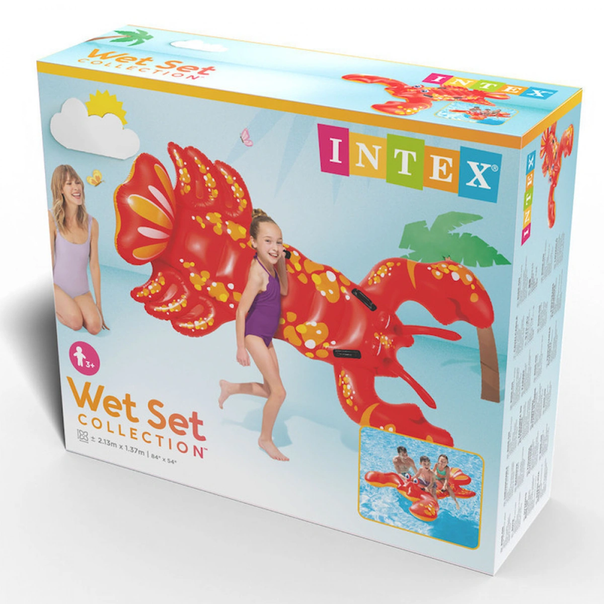 INTEX ΦΟΥΣΚΩΤΟ ΑΣΤΑΚΟΣ 213CM 57528