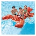 INTEX ΦΟΥΣΚΩΤΟ ΑΣΤΑΚΟΣ 213CM 57528
