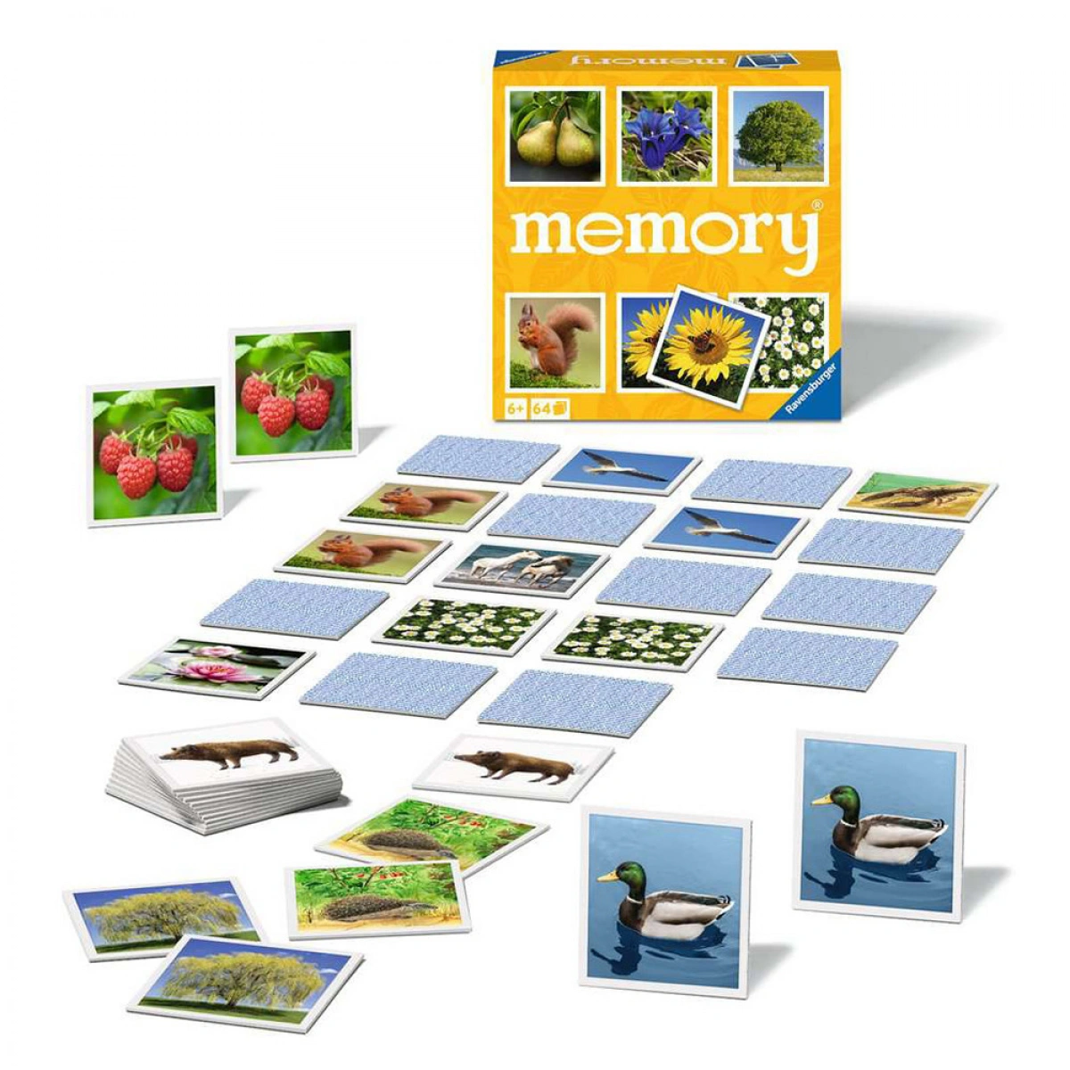 JOHN HELLAS ΕΠΙΤΡΑΠΕΖΙΑ ΜΝΗΜΗΣ MEMORY ΦΥΣΗ 20881
