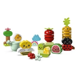 LEGO ORGANIC GARDEN 10984
