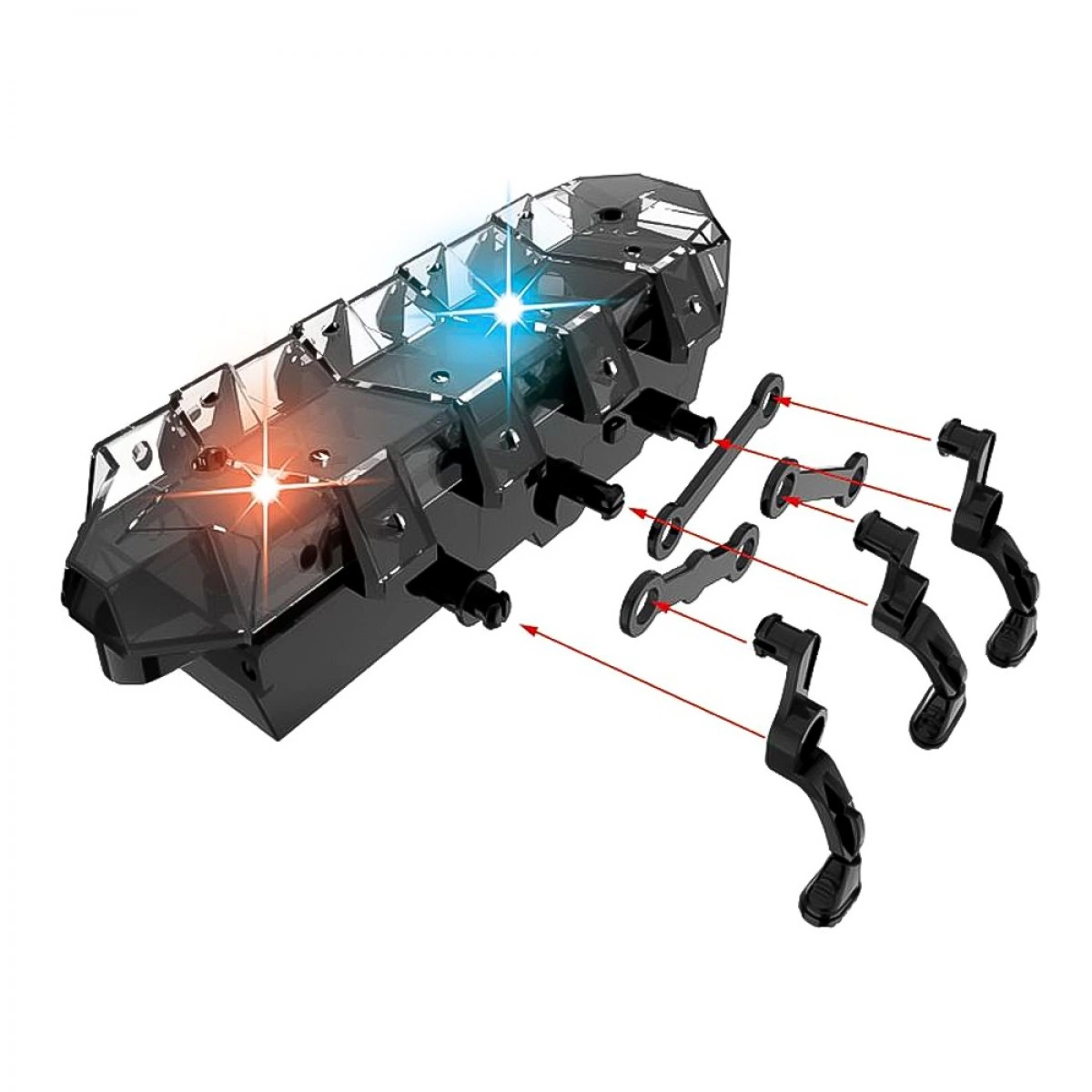 LUNA STEM BEETLE CONSTRUCTION 622110