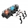 LUNA STEM BEETLE CONSTRUCTION 622110