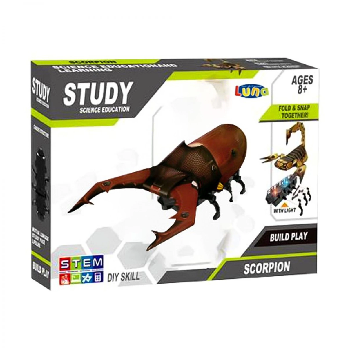 LUNA STEM BEETLE CONSTRUCTION 622110
