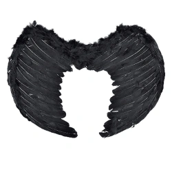 MASKARATA ΦΤΕΡΑ ΜΑΥΡΑ ΔΙΑΒΟΛΟΥ (60Χ45 ΕΚΑΤΟΣΤΑ) ΦΤ0097