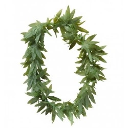 MASKARATA ΚΟΛΙΕ ΚΑΝΝΑΒΗΣ ΙΤ04744