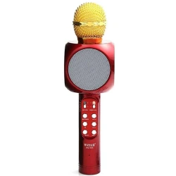 MARTIN TOYS ΜΙΚΡΟΦΩΝΟ KARAOKE WIRELESS KAI WIFI WS-1816