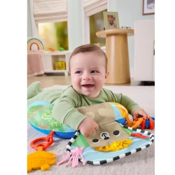 FISHER PRICE ΜΑΞΙΛΑΡΑΚΙ ΔΡΑΣΤΗΡΙΟΤΗΤΩΝ ΜΕ ΑΡΚΟΥΔΑΚΙ JHB44
