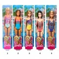 MATTEL BARBIE BEACH (5 ΣΧΕΔΙΑ) DWJ99