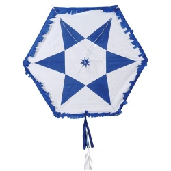 OEM ΑΕΤΟΣ ΥΦΑΣΜΑΤΙΝΟΣ ΑΔΙΑΒΡΟΧΟΣ100 ΕΚ ΑΣΤΕΡΙ 401