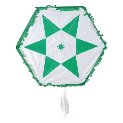 OEM ΑΕΤΟΣ ΑΔΙΑΒΡΟΧΟΣ 120ΕΚ  Λ120Α