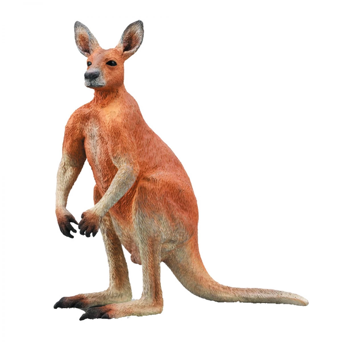 COLLECTA MALE RED KANGAROO 88942 (L)