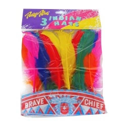 OEM ΦΤΕΡΑ ΙΝΔΙΑΝΟΥ 3 ΤΕΜΑΧΙΑ ΜΑ0058