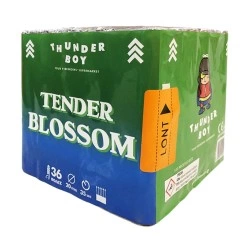 THUNDER BOY ΠΑΚΕΤΟ ΕΝΑΕΡΙΩΝ ΠΥΡΟΤΕΧΝΗΜΑΤΩΝ TENDER BLOSSOM YT-2216 (36 ΒΟΛΩΝ)