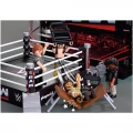 PLAYMOBIL WWE SETH ROLLINS & CM PUNK ΣΤΟ ΡΙΝΓΚ 71956