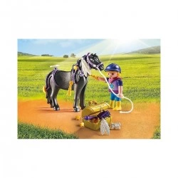 PLAYMOBIL ΠΟΝΥ ΜΕ ΑΣΤΕΡΑΚΙΑ ΚΑΙ ΚΟΡΙΤΣΑΚΙ 6970