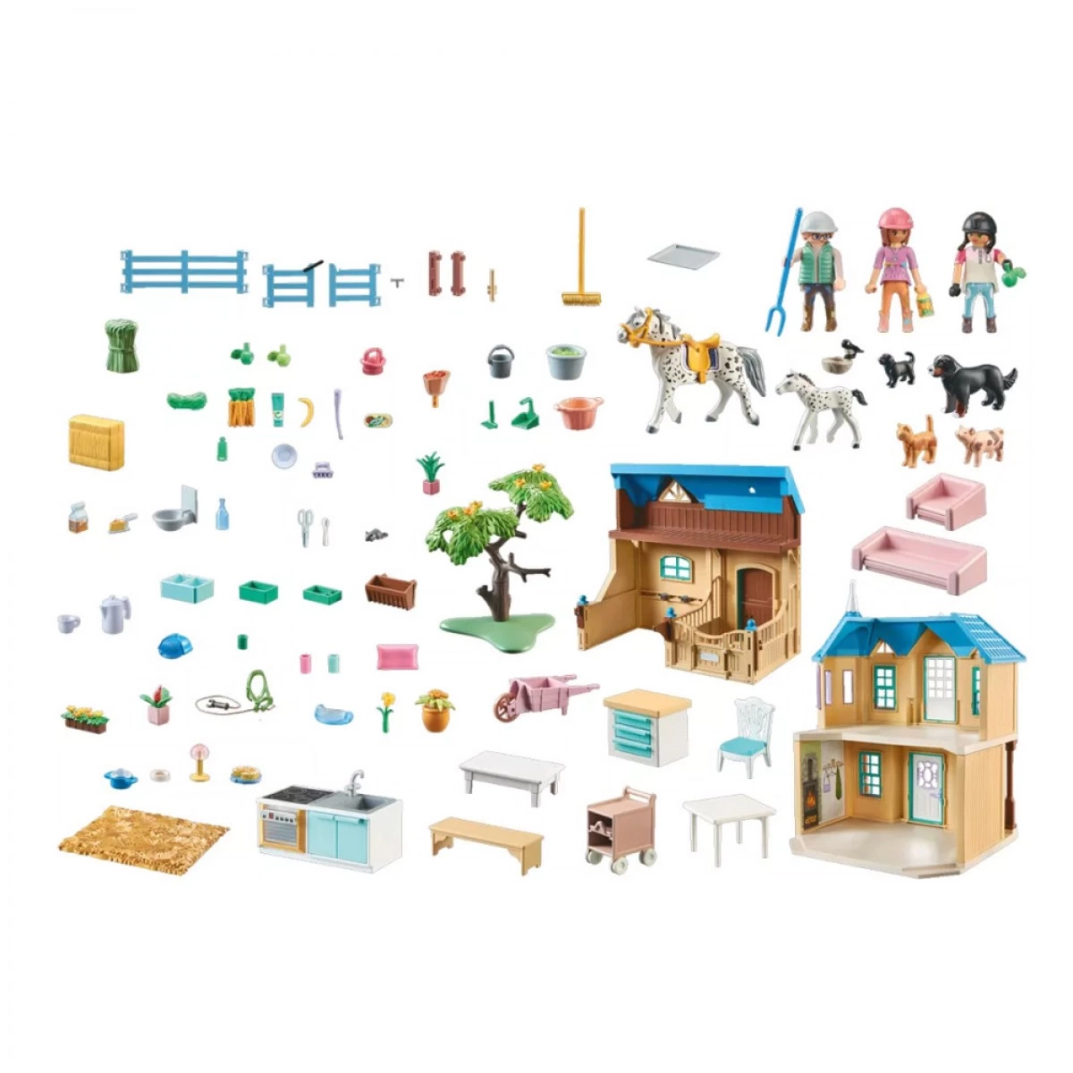 PLAYMOBIL ΜΕΓΑΛΟ ΡΑΝΤΣΟ 71351