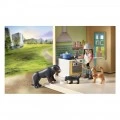 PLAYMOBIL ΜΕΓΑΛΟ ΡΑΝΤΣΟ 71351
