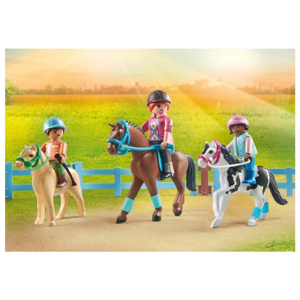 PLAYMOBIL ΜΑΘΗΜΑΤΑ ΙΠΠΑΣΙΑΣ ΟΧΗΜΑ ΜΕΤΑΦΟΡΑΣ ΑΛΟΓΩΝ 71493