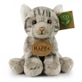 RAPPA ΛΟΥΤΡΙΝΟ ΓΑΤΑΚΙ ΓΚΡΙ 251861