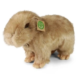 RAPPA ΛΟΥΤΡΙΝΟ ΚΑΠΙΜΠΑΡΑ ΟΡΘΙΟ 30ΕΚ. 230743