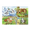 RAVENSBURGER ΠΑΖΛ 2Χ12ΤΜΧ. ΖΩΟΛΟΓΙΚΟΣ ΚΗΠΟΣ 07602