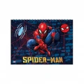 DIAKAKIS ΣΕΤ ΧΡΩΜΑΤΙΣΜΟΥ 54X47 SPIDERMAN 508424