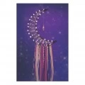 MAKE IT REAL LUNAR DREAM CATCHER WITH LIGHTS 1417